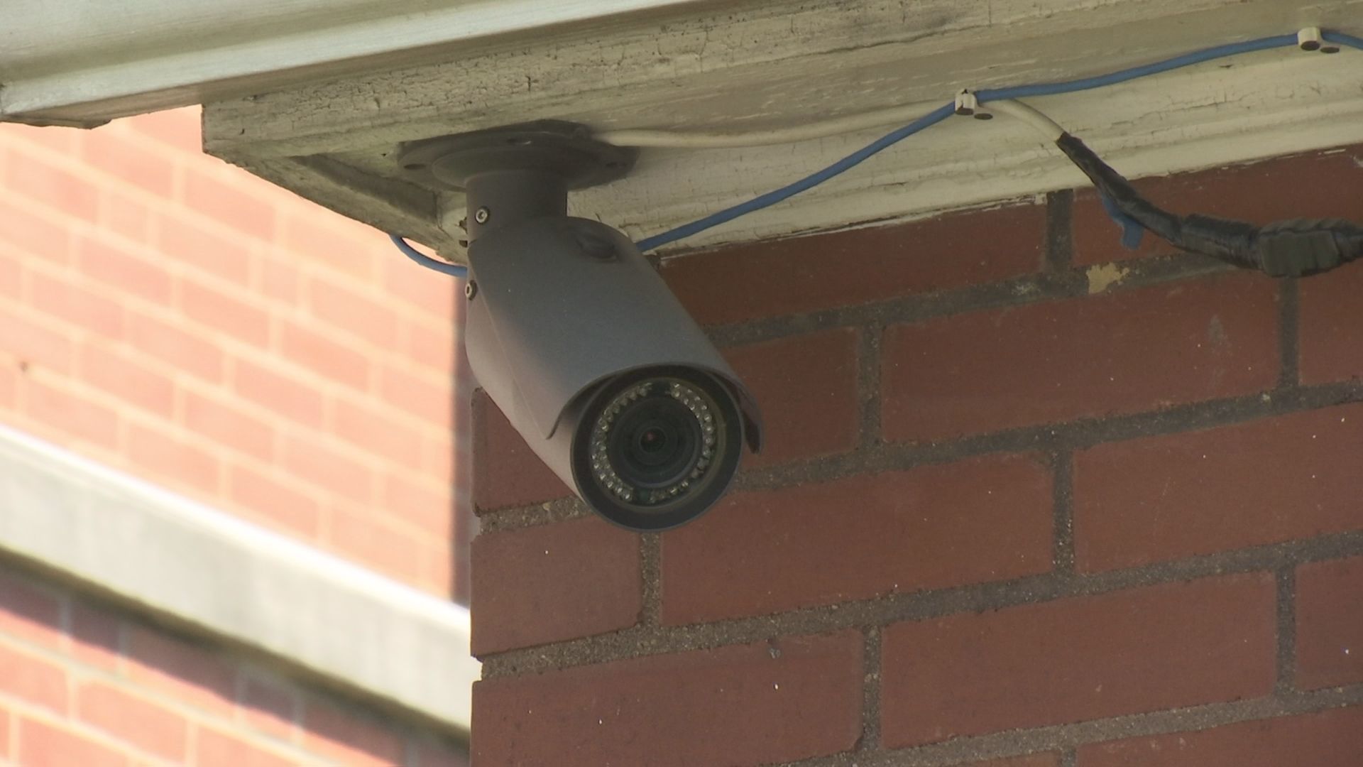 PORCH BANDIT 7.jpg